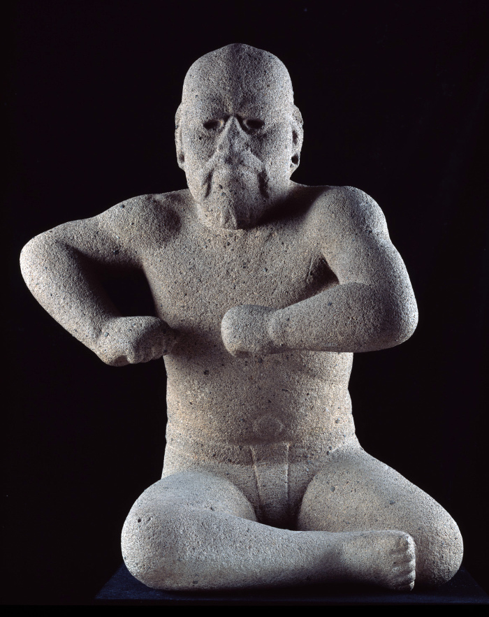 El luchador