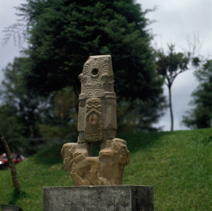 Dos lagarto