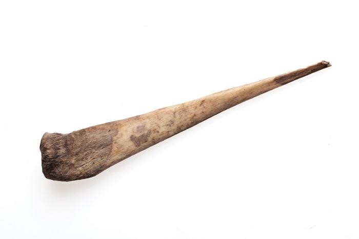 Punzón de hueso 
