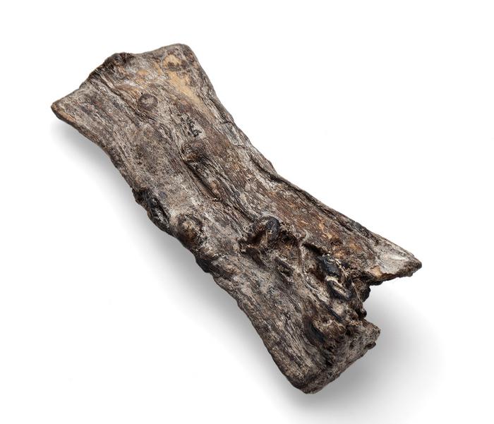 Fragmento de ornamento de madera