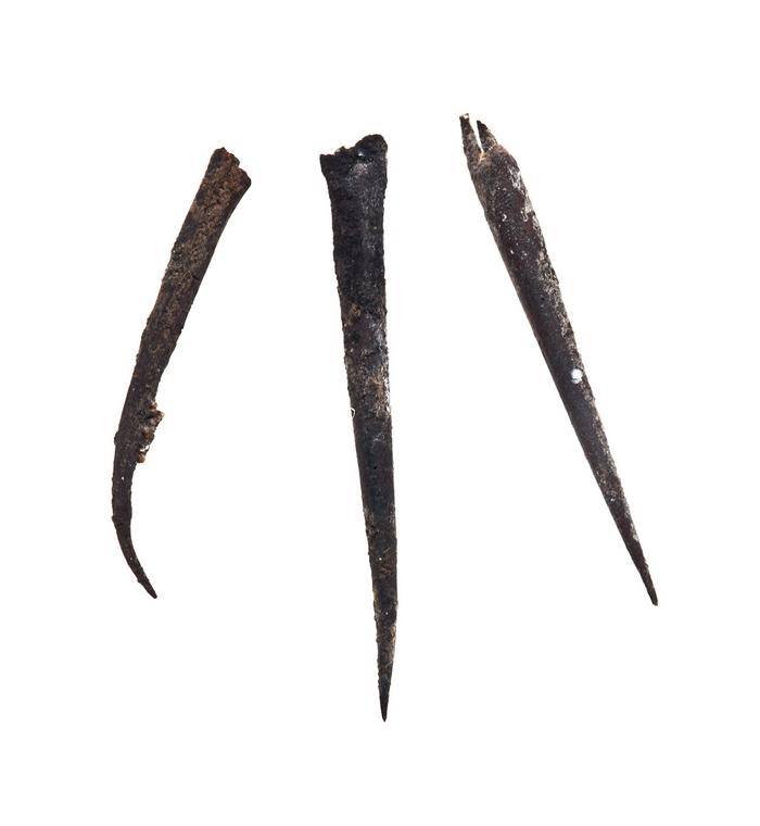 Lote de tres puntas de maguey