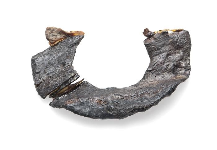 Fragmento de anillo de madera 