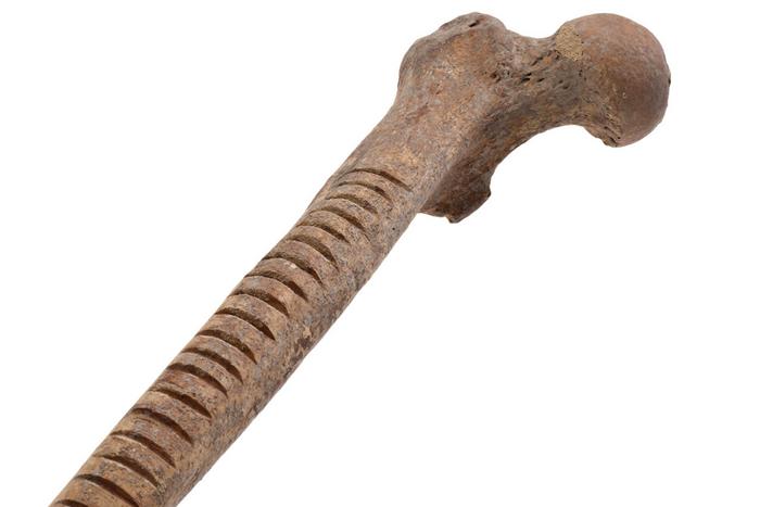 Detalle de omechicahuaztli