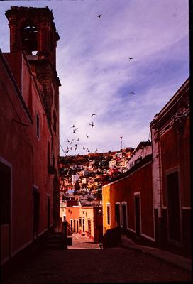 CALLE