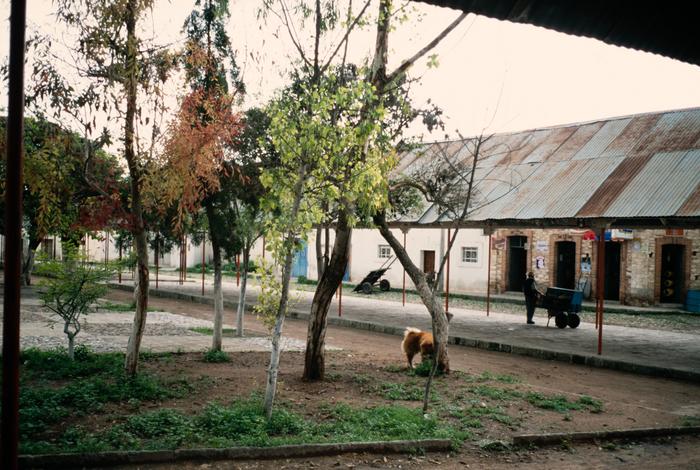 MUSEO