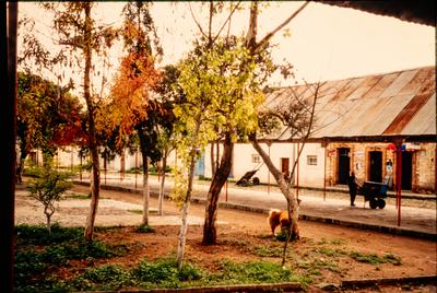 MUSEO