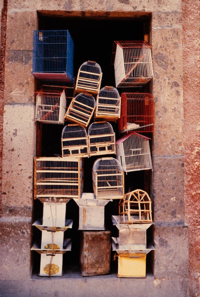 TIENDA DE PAJARERAS Y BRACEROS