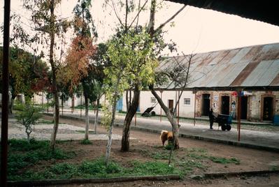 MUSEO