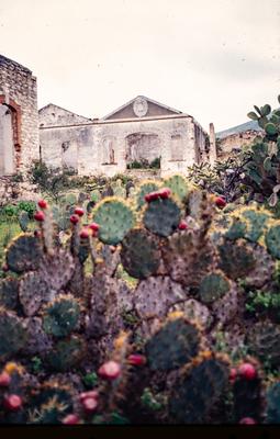 ESCUELA PRIMARIA