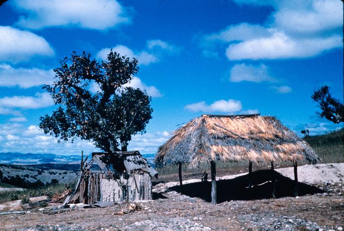 PAISAJE