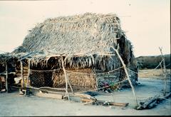 PALAPA