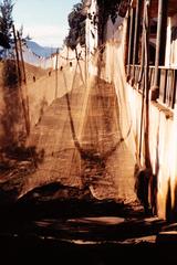 CALLE