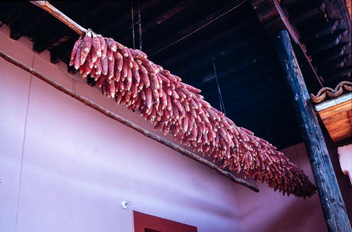 PORTALES