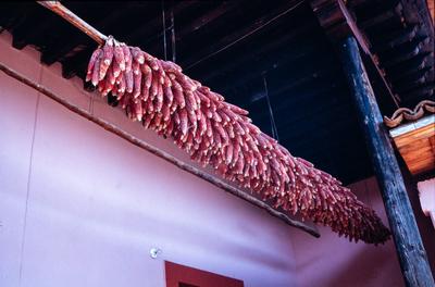PORTALES