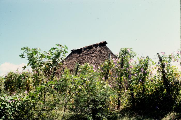 Casa Habitación