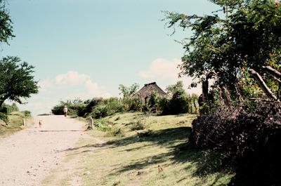 CALLE