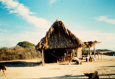 PALAPA