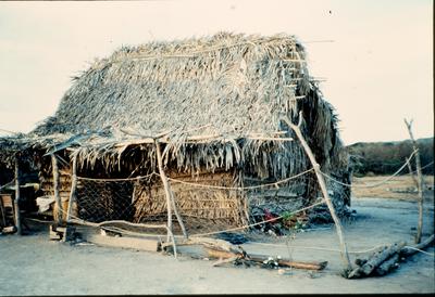 PALAPA