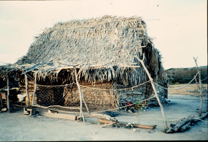 PALAPA