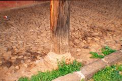 PORTALES