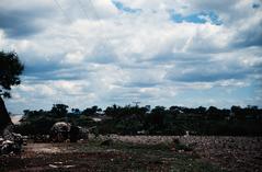 PAISAJE