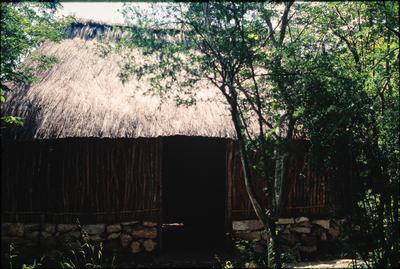 CASA MAYA