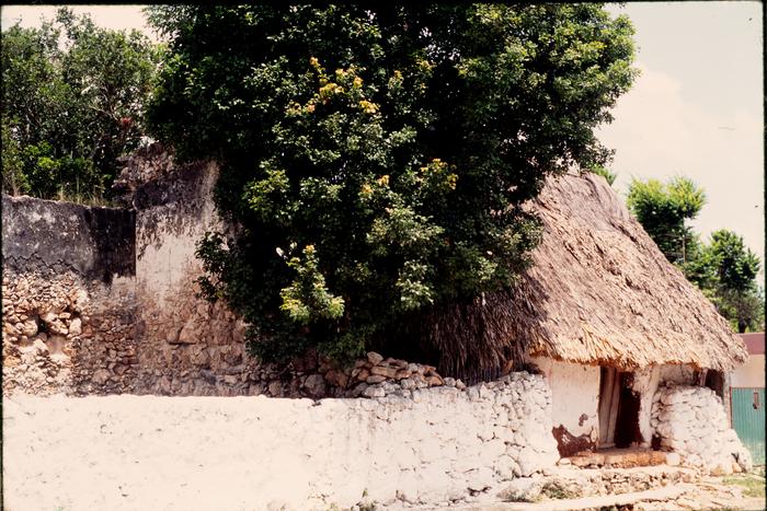 CASA MAYA