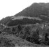 Paisaje arbolado 