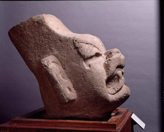 Cabeza de criatura con facciones de jaguar