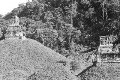 Templo del Sol a la izquierda y Templo de la Cruz Foliada a la derecha, Zona Arqueológica de Palenque, Chiapas.