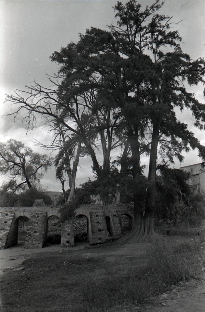 Hacienda de San Blas de Pabellón de Hidalgo. Acueducto